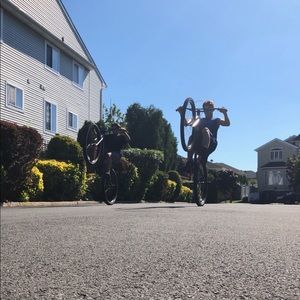 Meet your Posher, Frankie